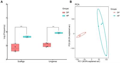 Metagenomic analysis fecal microbiota of dysentery-like diarrhoea in a pig farm using next-generation sequencing